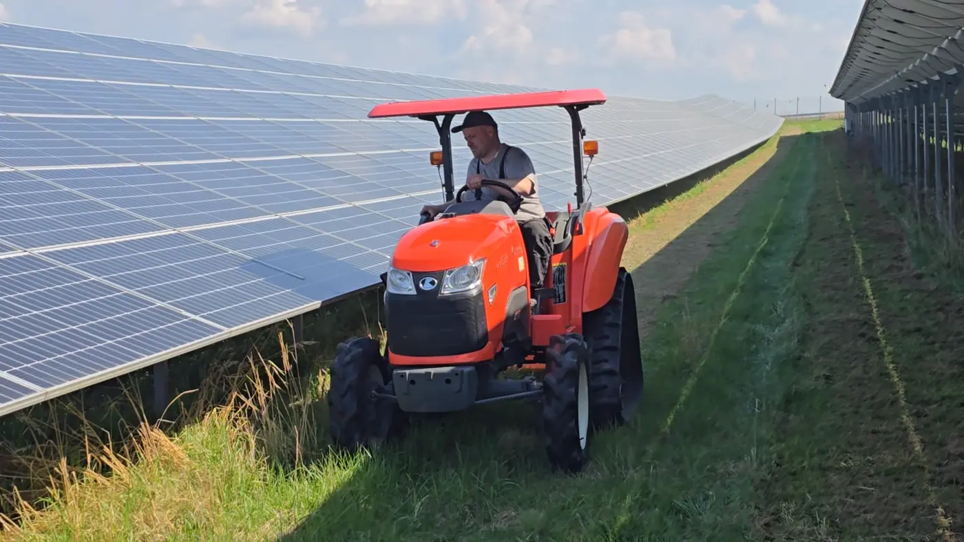 Kubota mit Mulchtechnik zwischen Photovoltaik-Reihen im Solarpark
